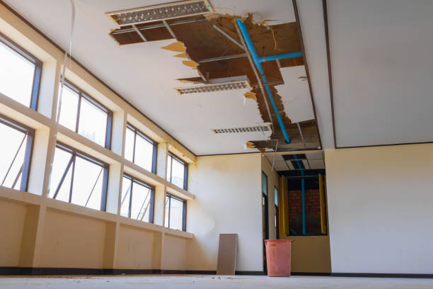 Best Ceiling water damage repair  in Yaeyville, NC