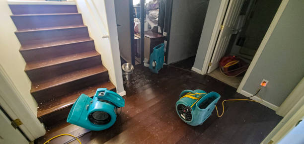 Best Flood restoration services  in Yaeyville, NC